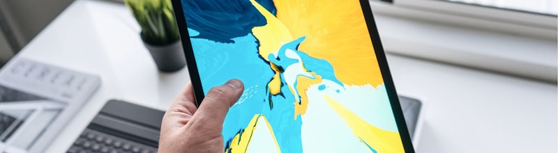 宙斯游戏高级城市规划示意图：展示分区与道路网络